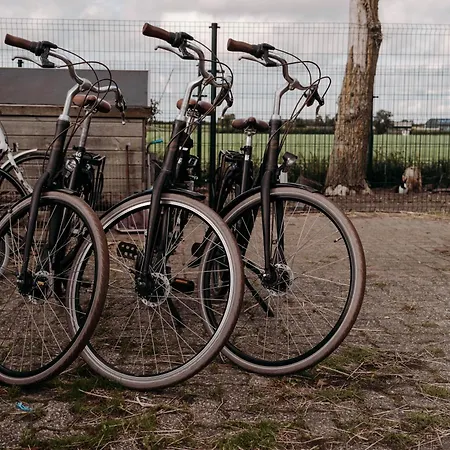 Alpesi faház Tulpenweide - Recreatie Breezand