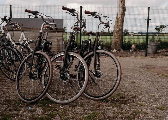 Alpesi faház Tulpenweide - Recreatie Breezand