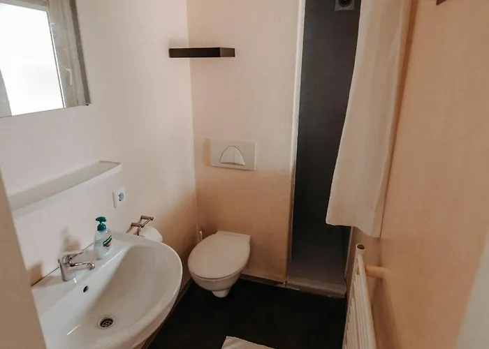 Chalet Tulpenweide - Recreatie *